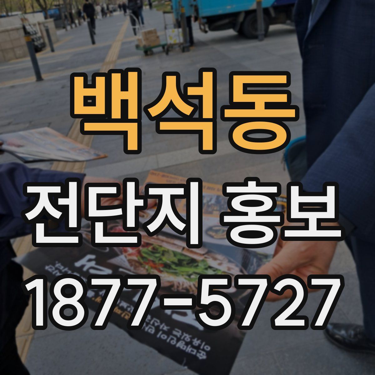 백석동 전단지 홍보