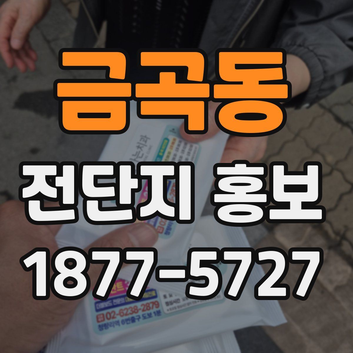 금곡동 전단지 홍보