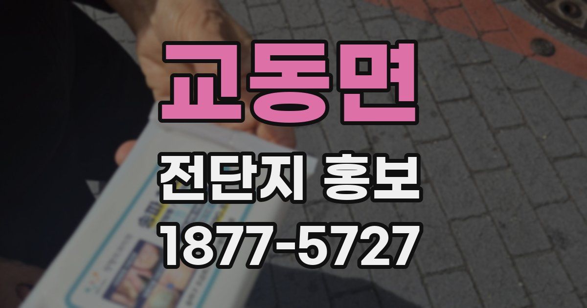 교동면 전단지 홍보