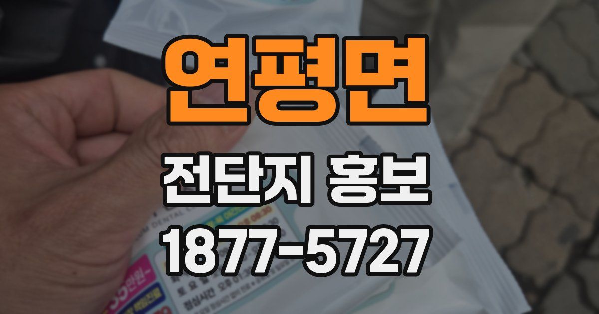 연평면 전단지 홍보