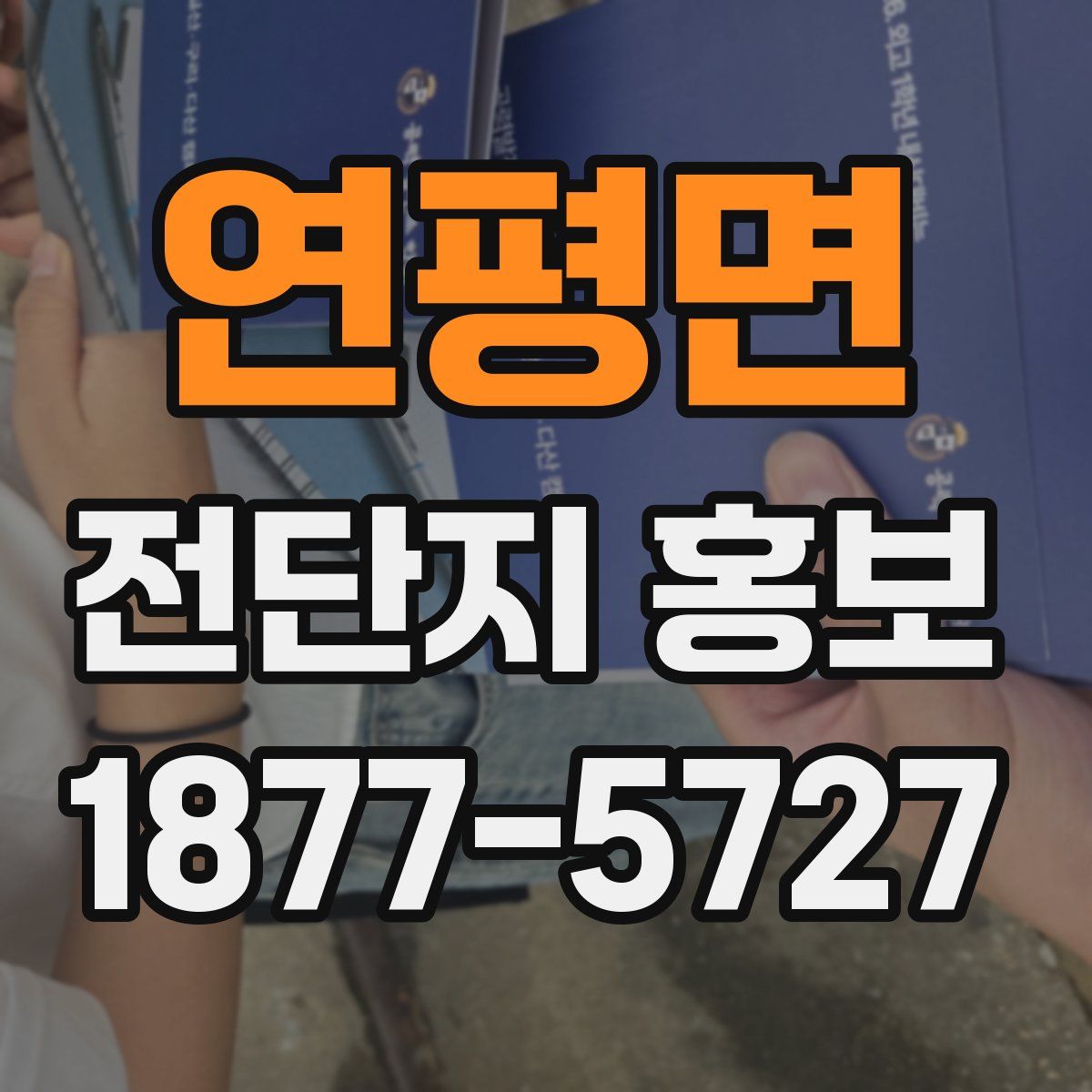 연평면 전단지 홍보
