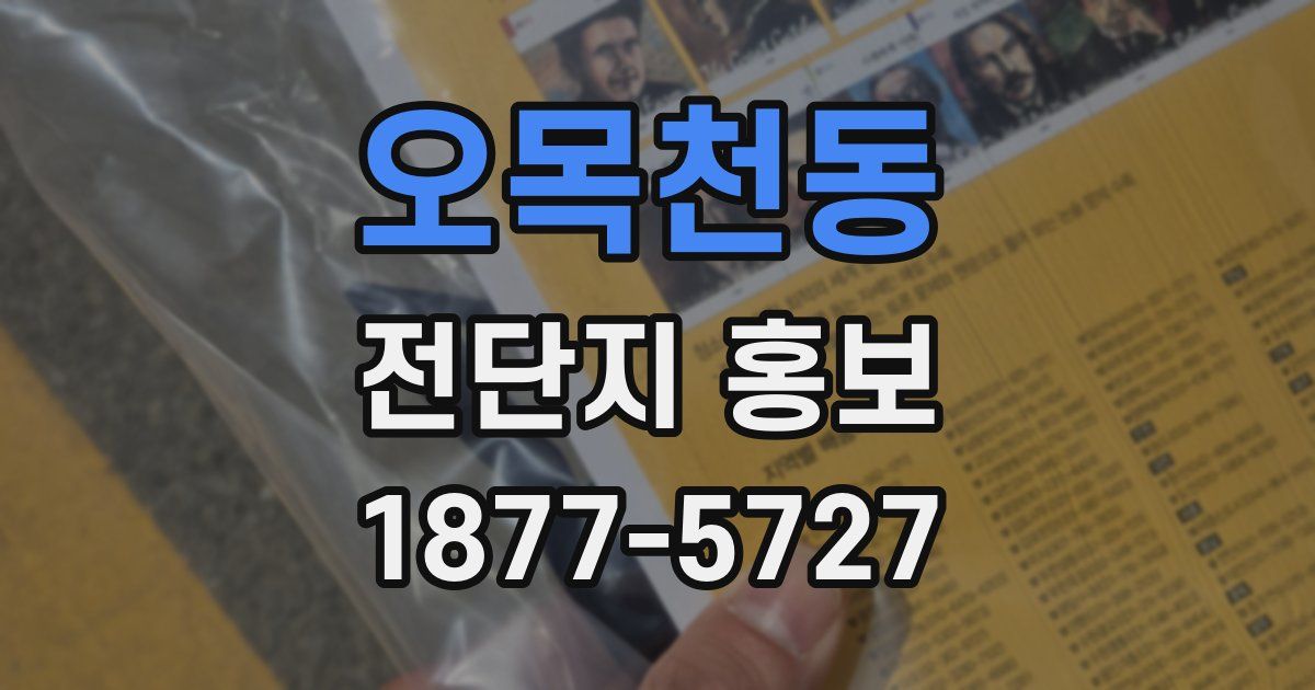 오목천동 전단지 홍보