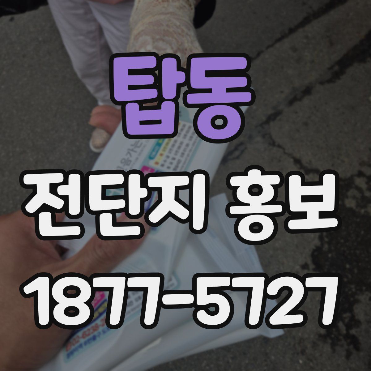 탑동 전단지 홍보