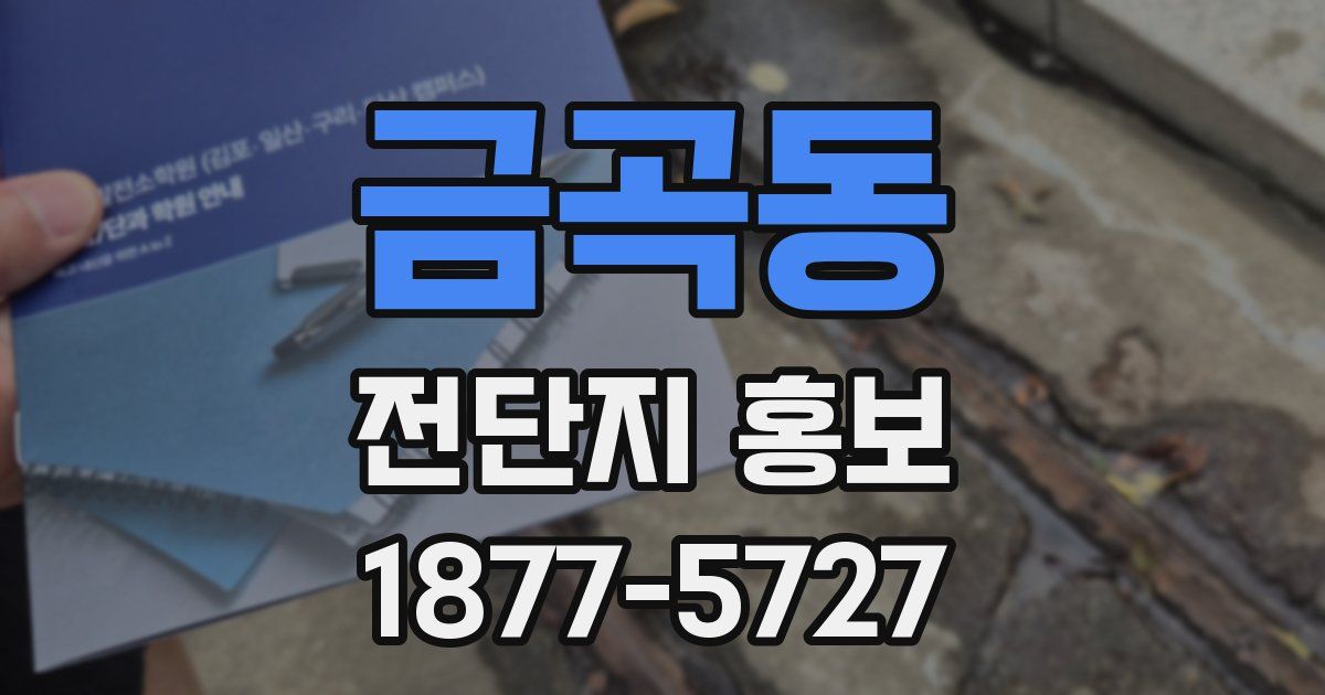 금곡동 전단지 홍보