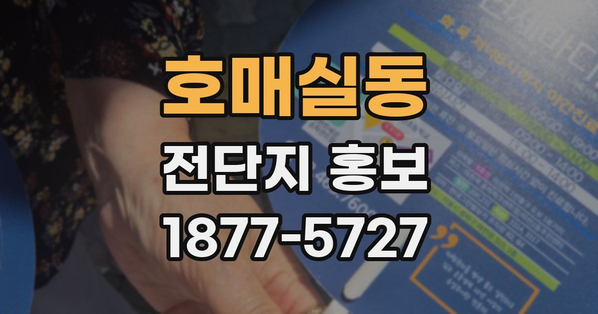 호매실동 전단지 홍보
