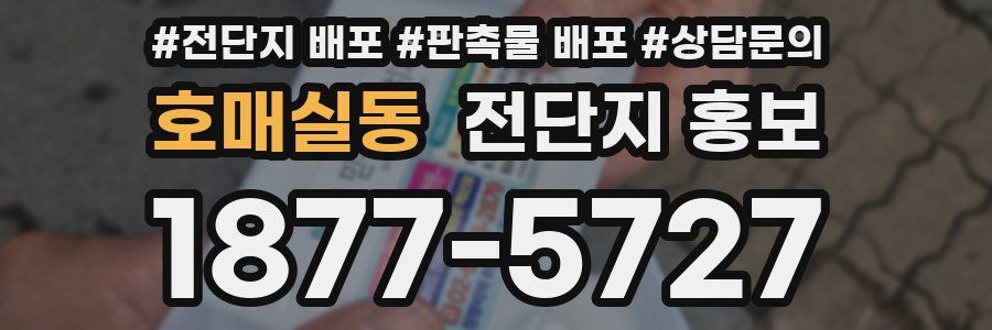 호매실동 전단지 홍보