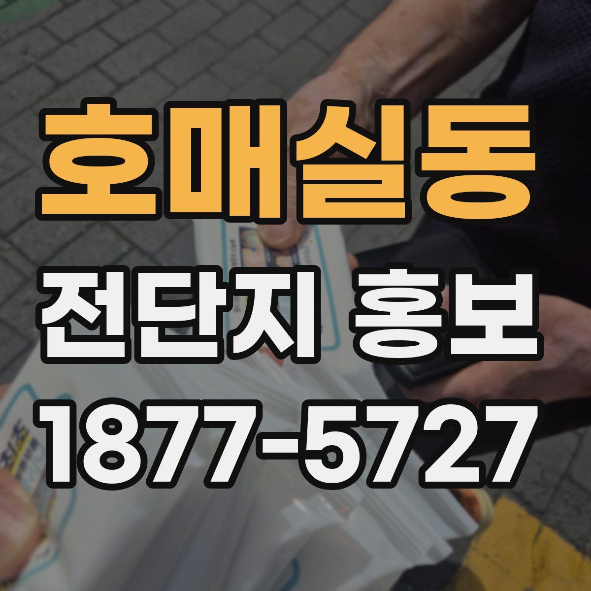 호매실동 전단지 홍보