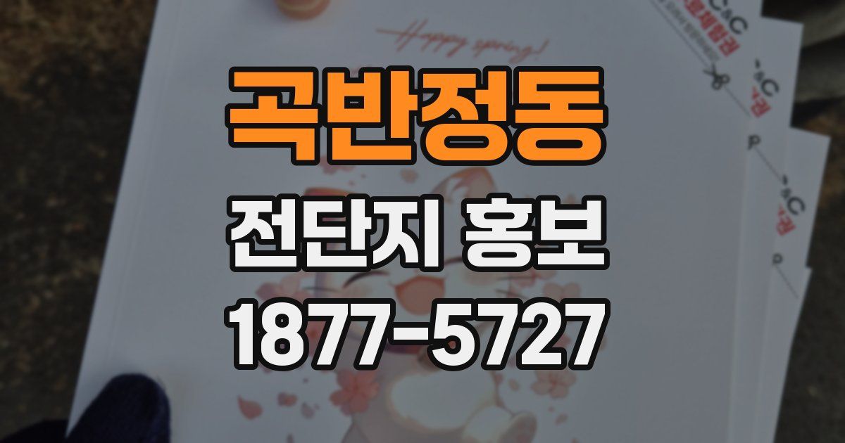 곡반정동 전단지 홍보