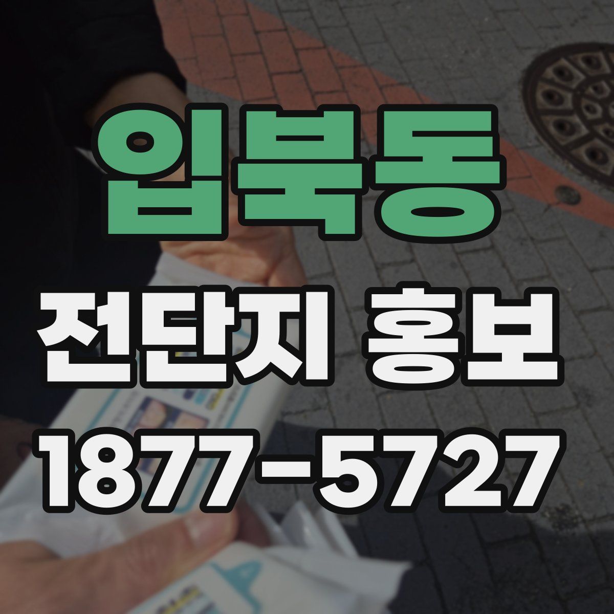 입북동 전단지 홍보