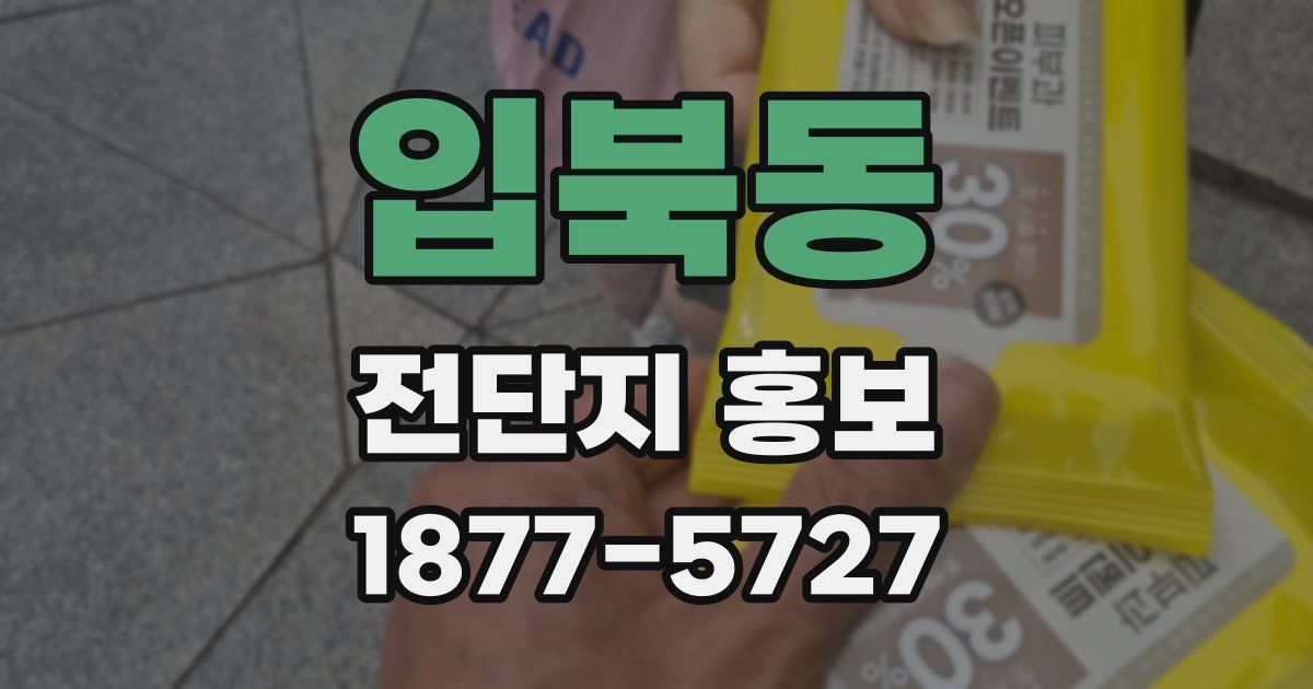 입북동 전단지 홍보