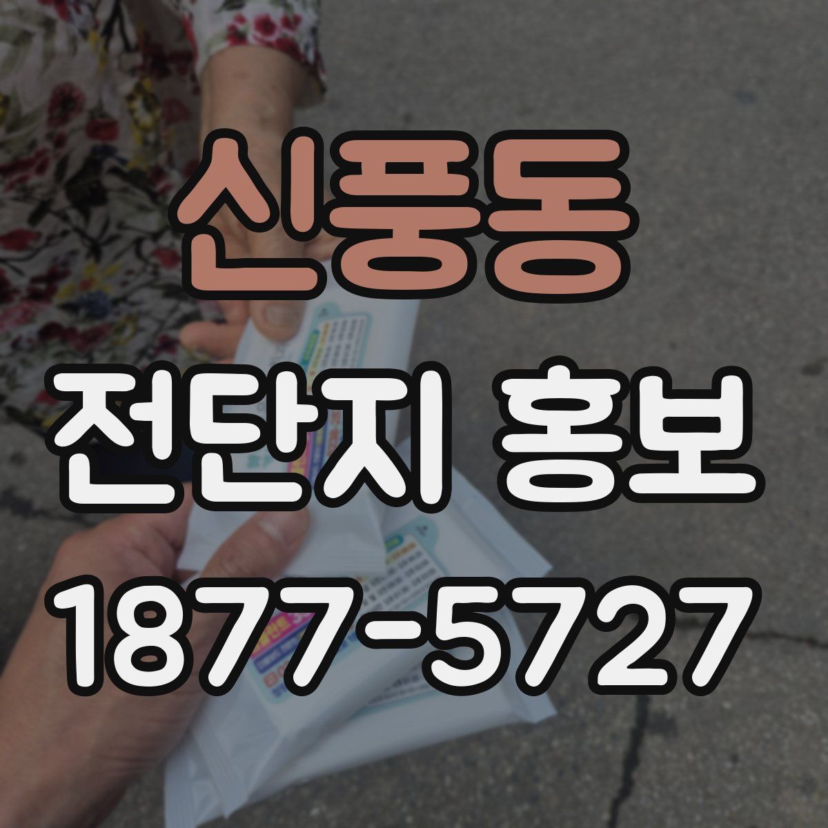 신풍동 전단지 홍보