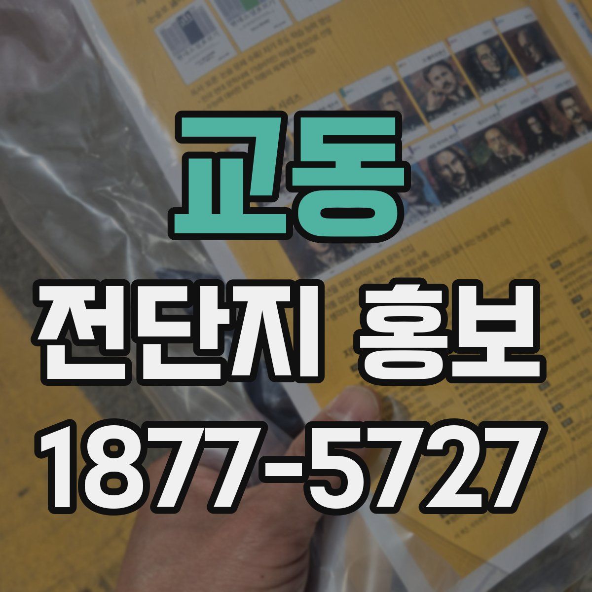 교동 전단지 홍보
