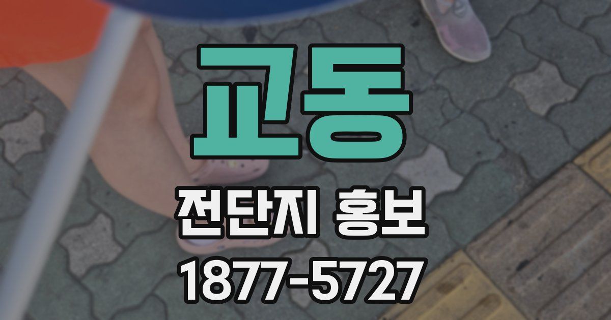 교동 전단지 홍보