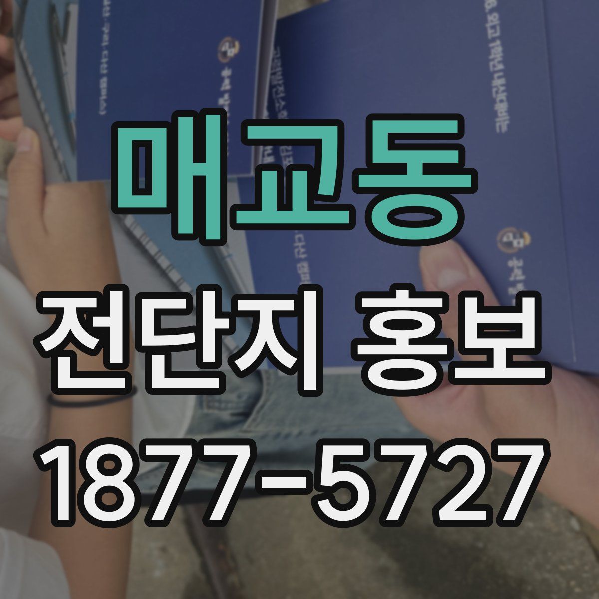 매교동 전단지 홍보