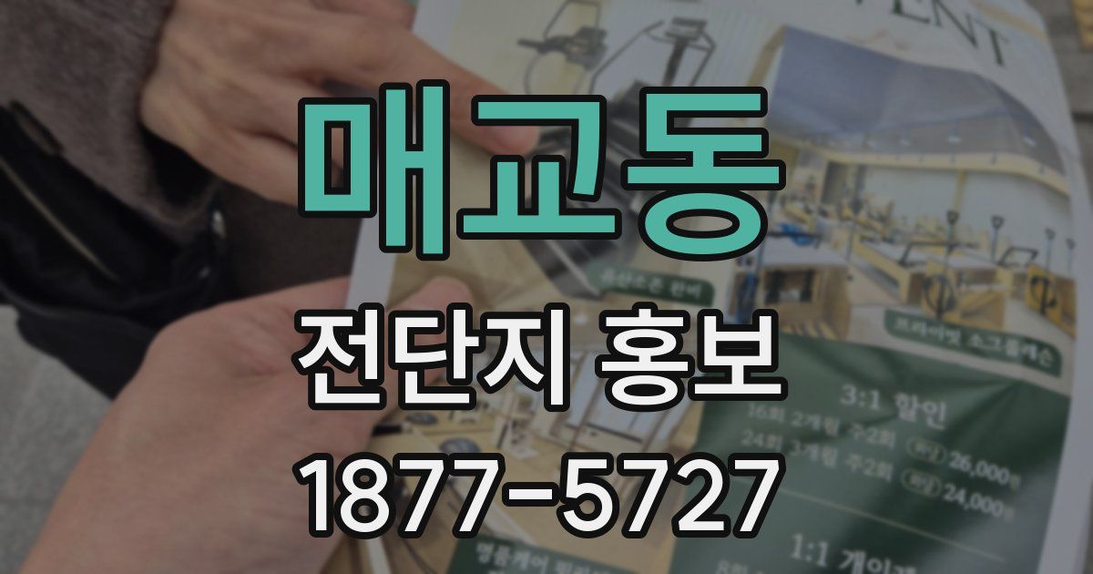 매교동 전단지 홍보