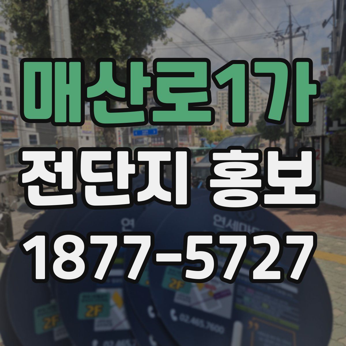 매산로1가 전단지 홍보