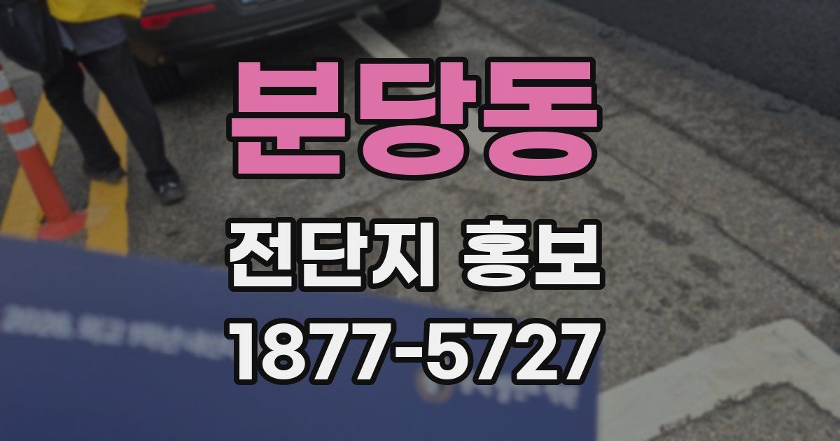 분당동 전단지 홍보