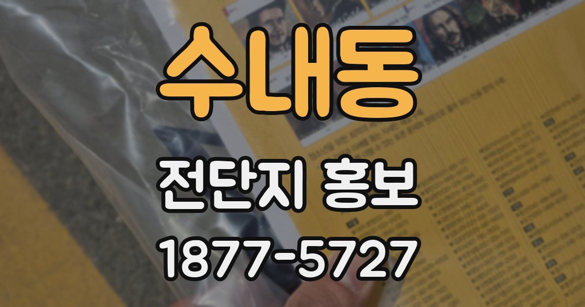 수내동 전단지 홍보