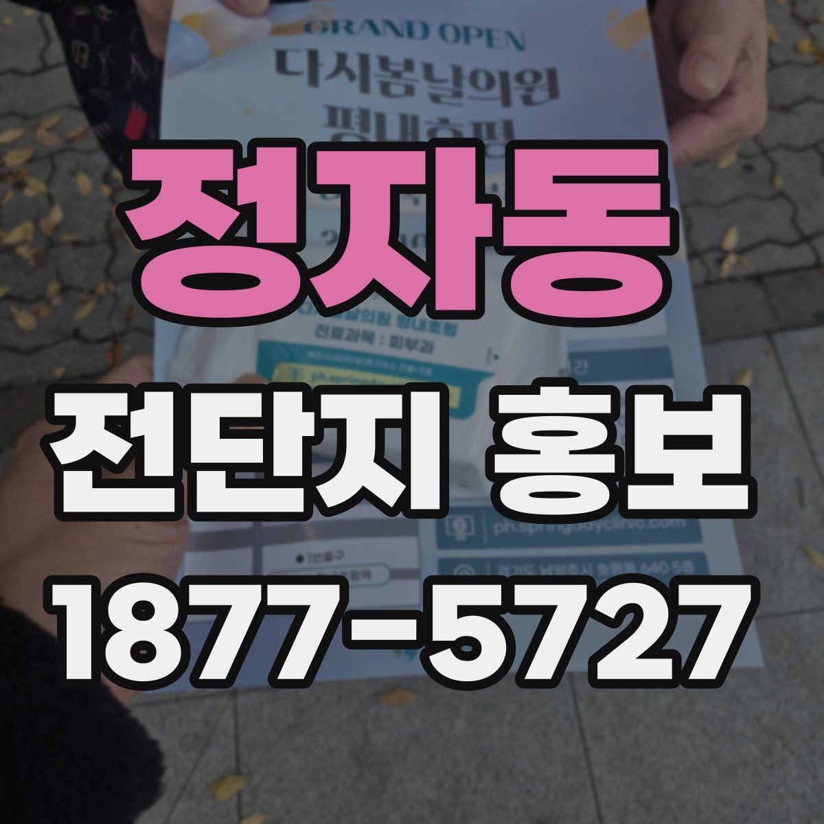 정자동 전단지 홍보