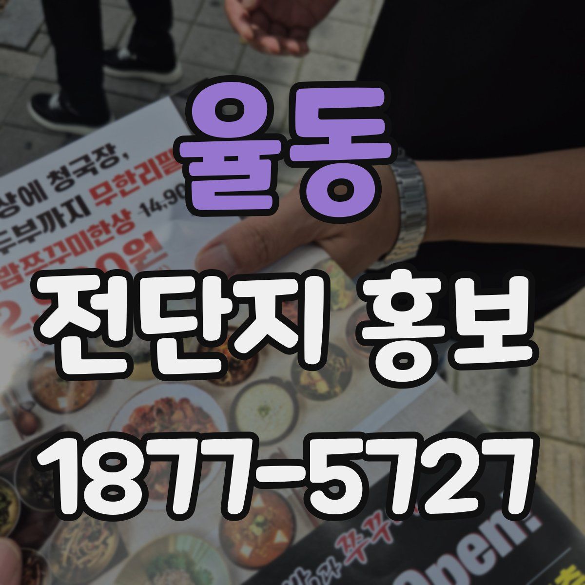 율동 전단지 홍보