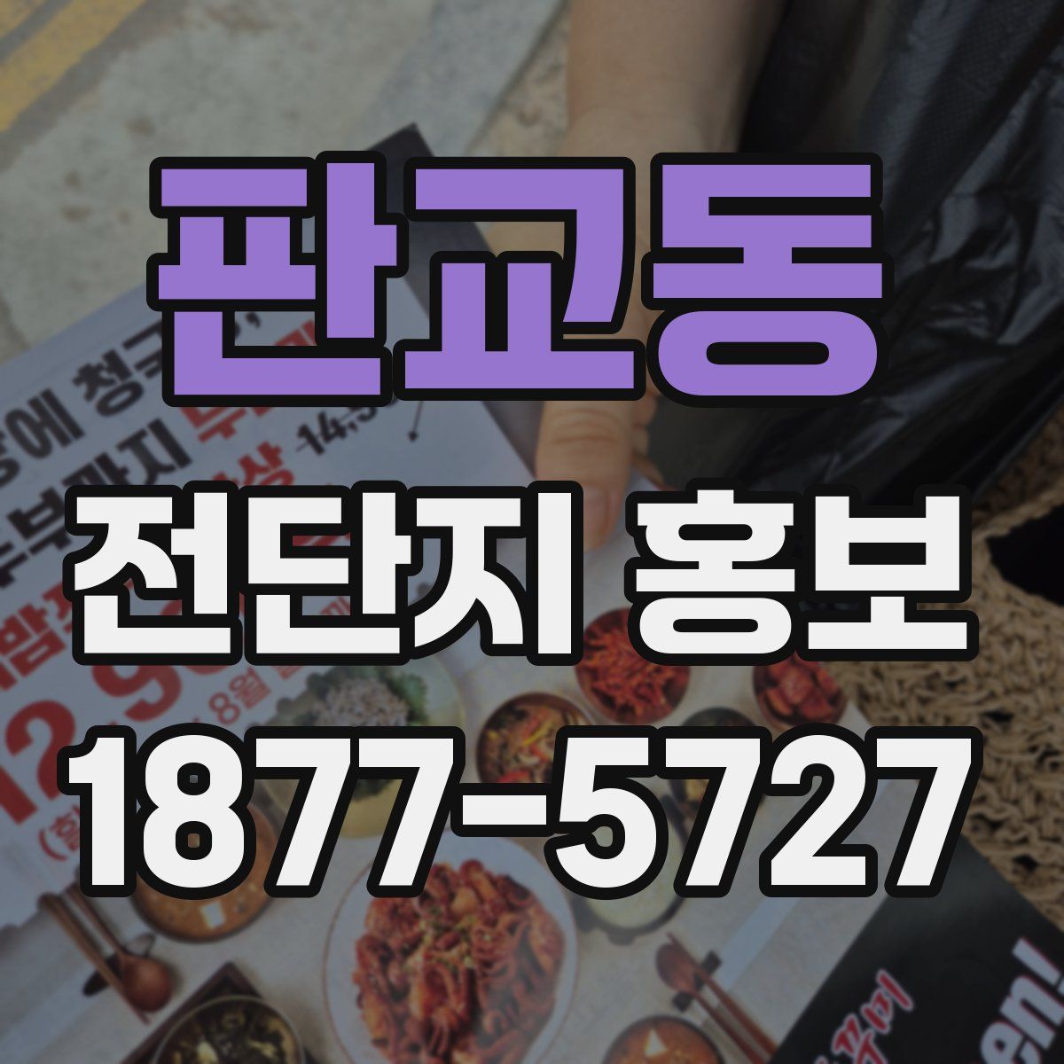 판교동 전단지 홍보