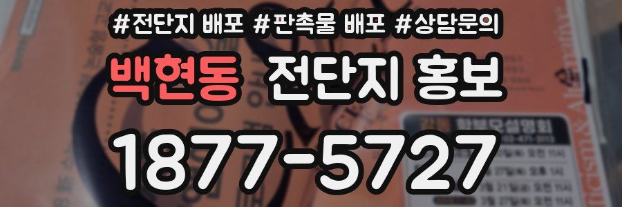백현동 전단지 홍보