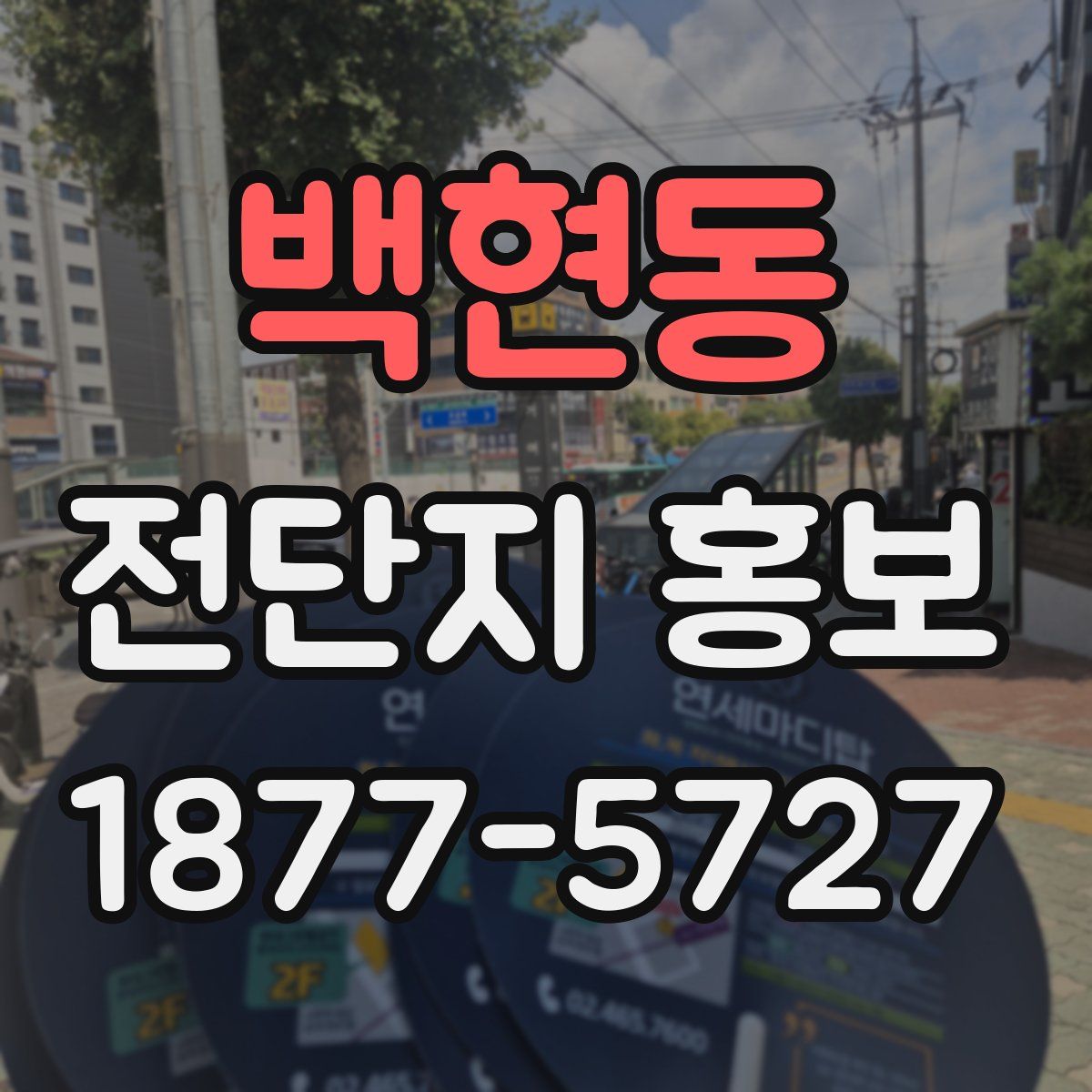 백현동 전단지 홍보