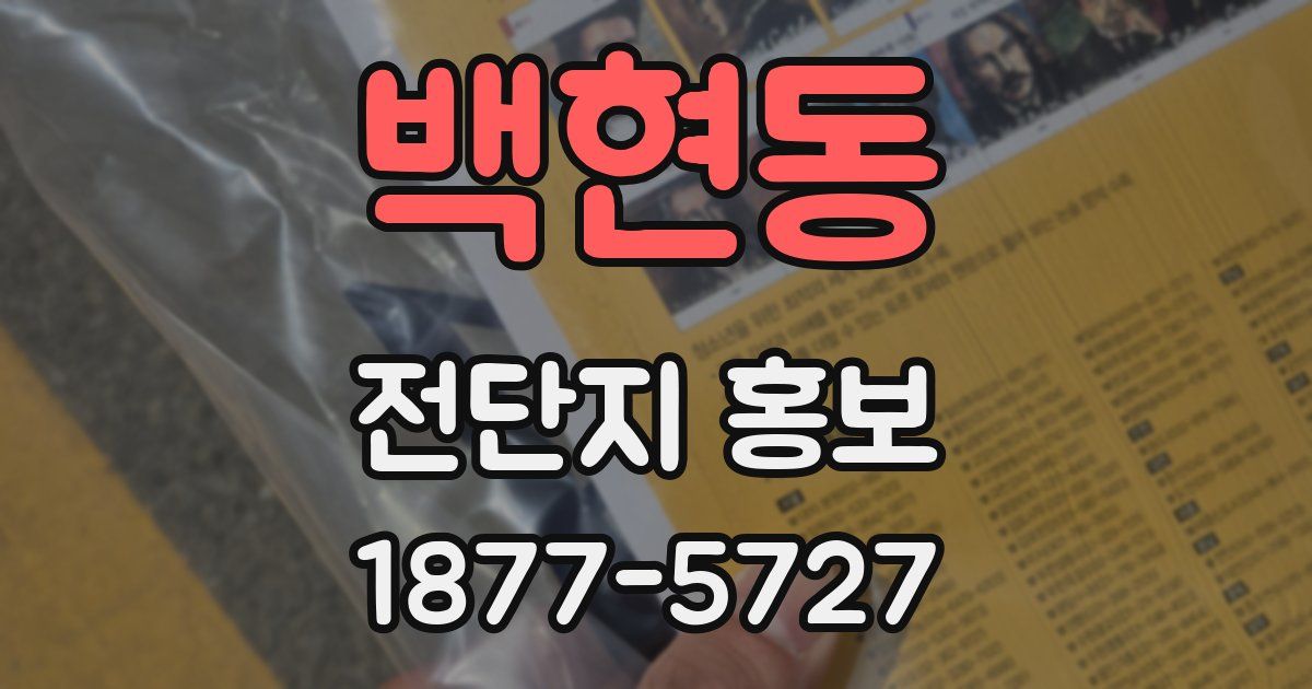 백현동 전단지 홍보