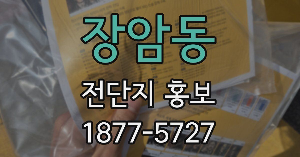 장암동 전단지 홍보