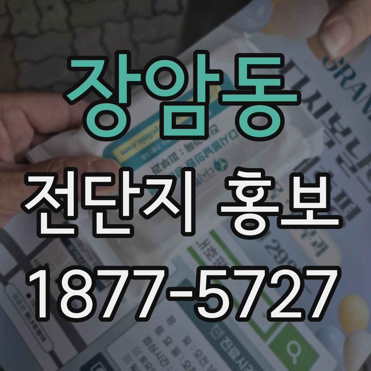 장암동 전단지 홍보