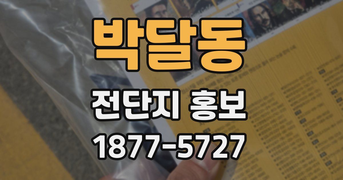 박달동 전단지 홍보