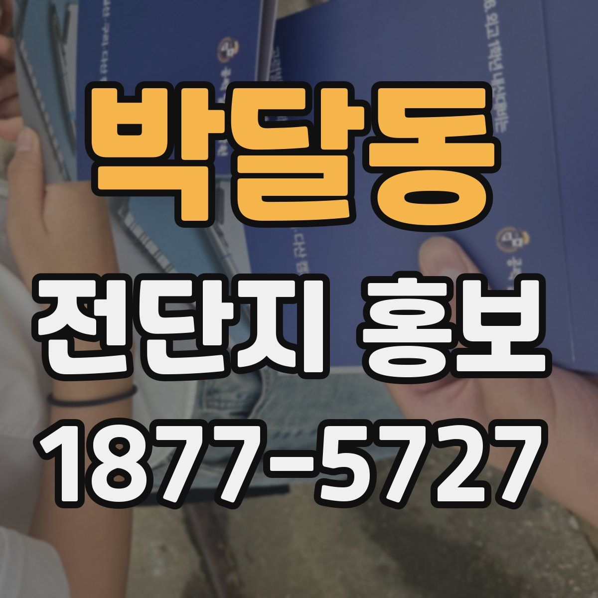 박달동 전단지 홍보