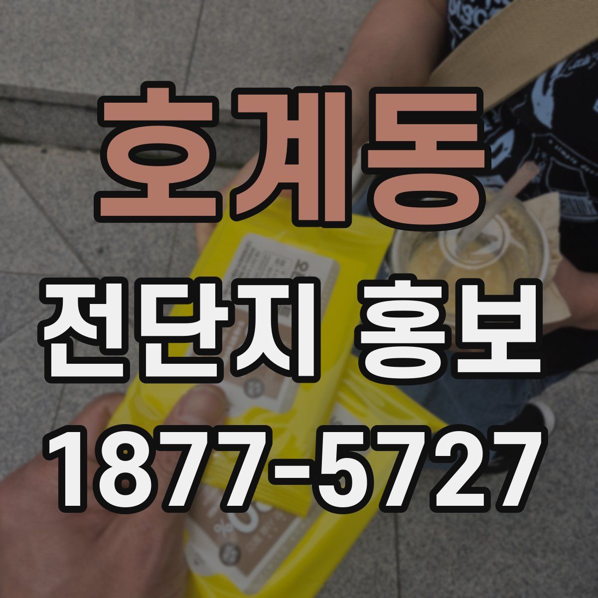 호계동 전단지 홍보