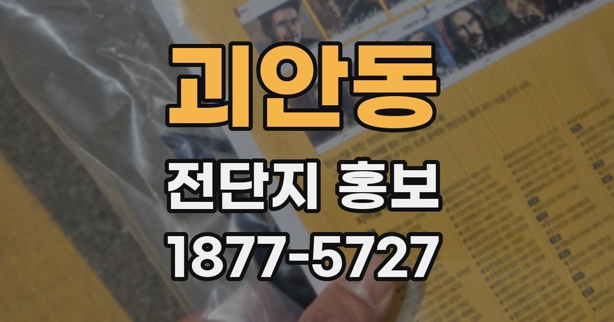 괴안동 전단지 홍보