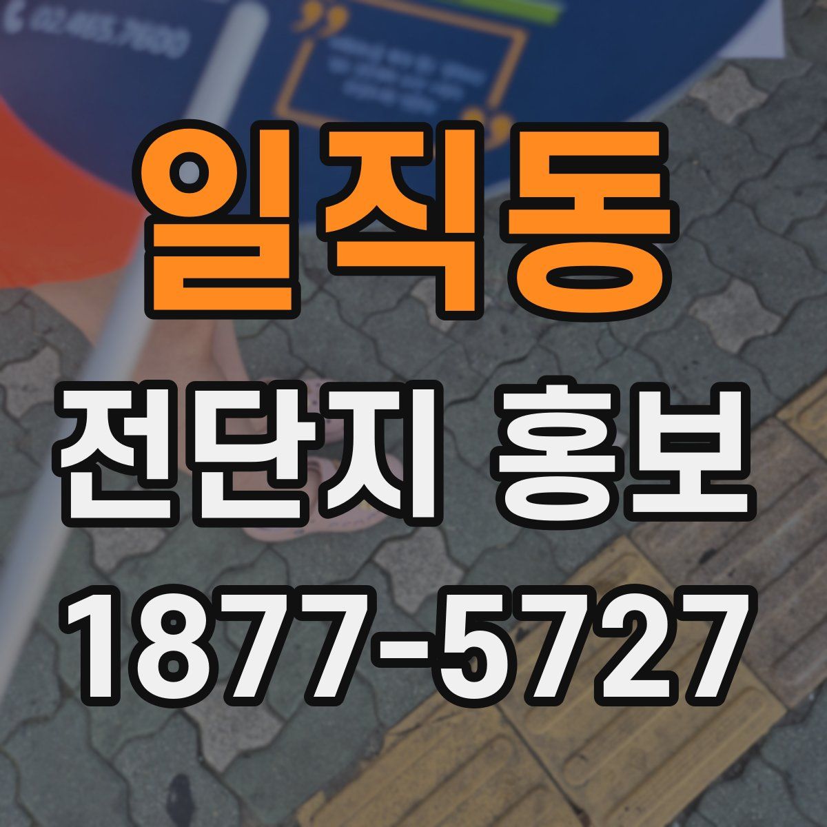 일직동 전단지 홍보