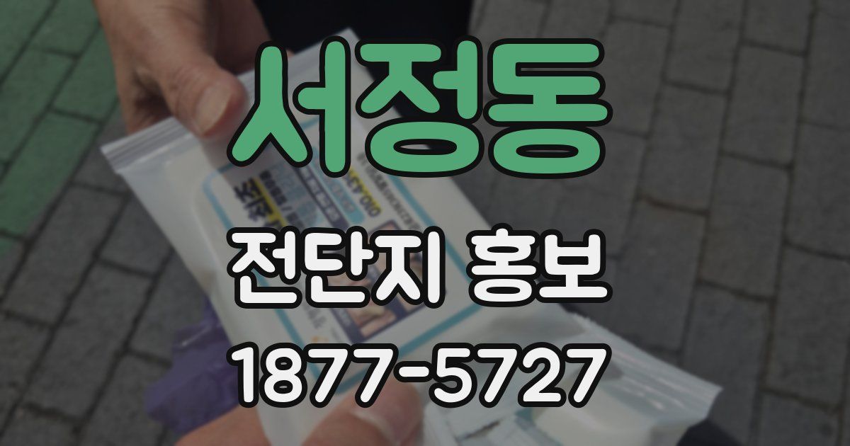 서정동 전단지 홍보