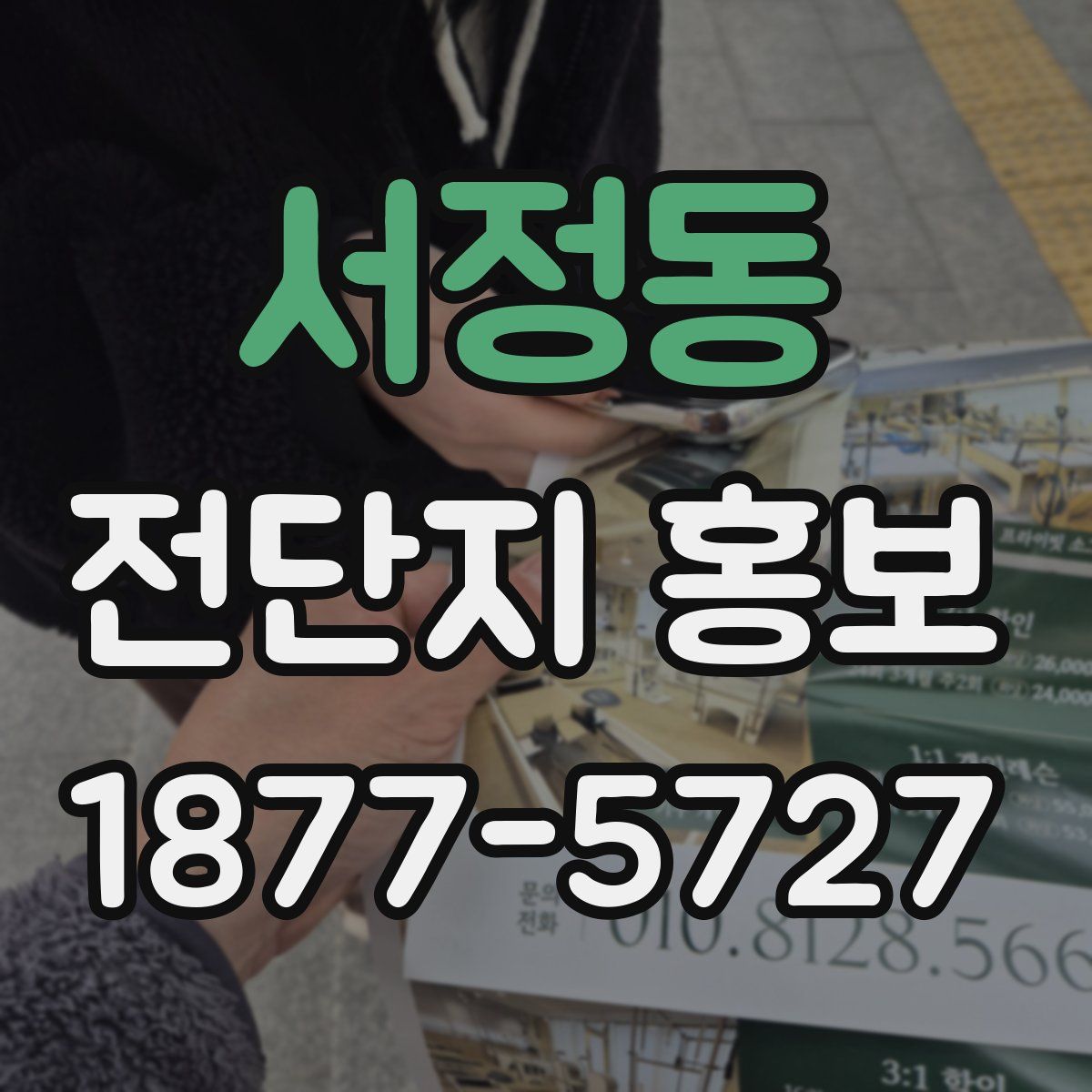 서정동 전단지 홍보