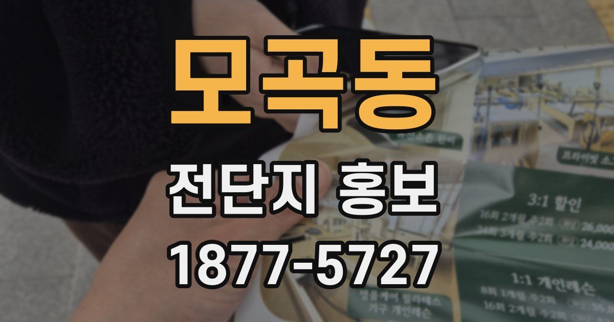 모곡동 전단지 홍보