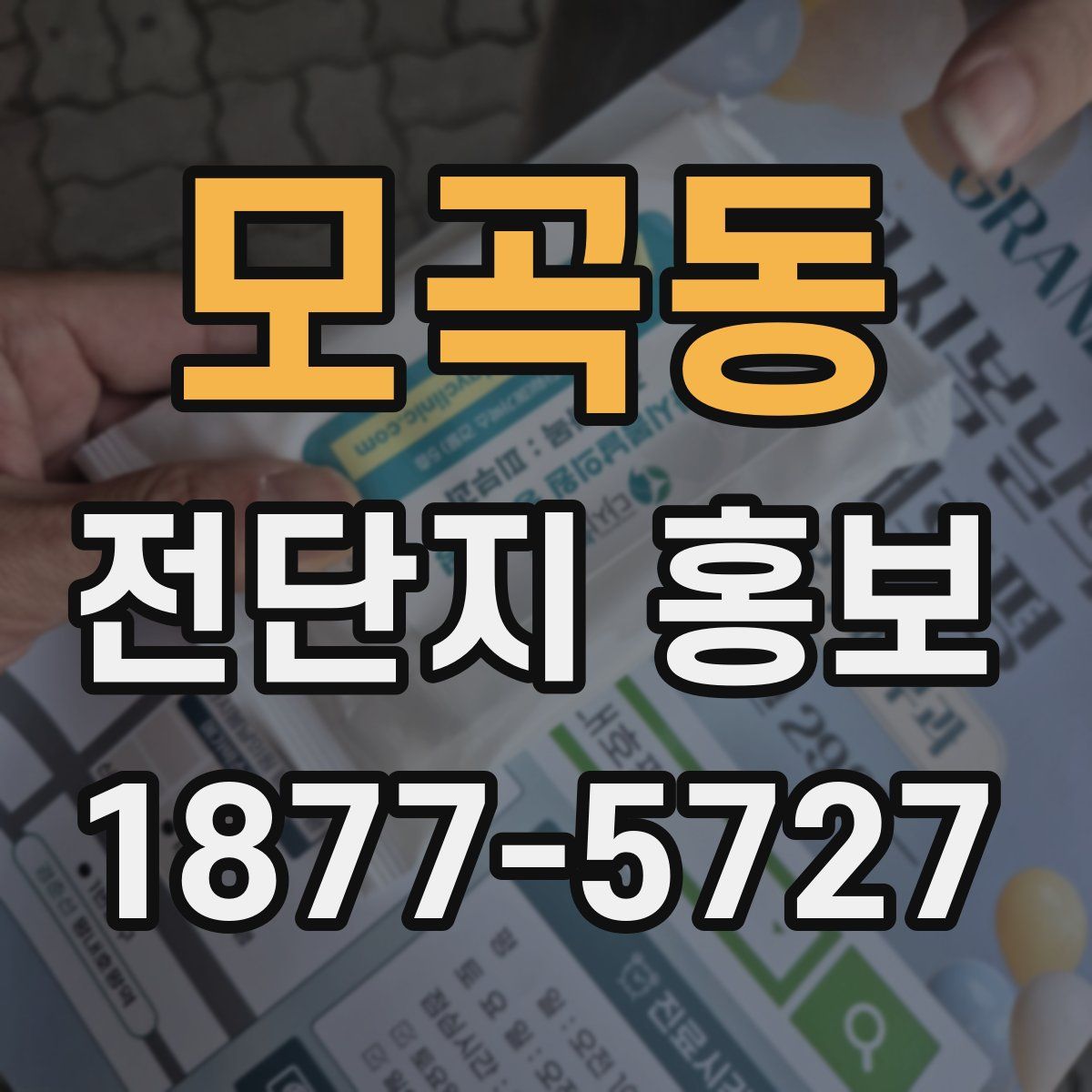 모곡동 전단지 홍보