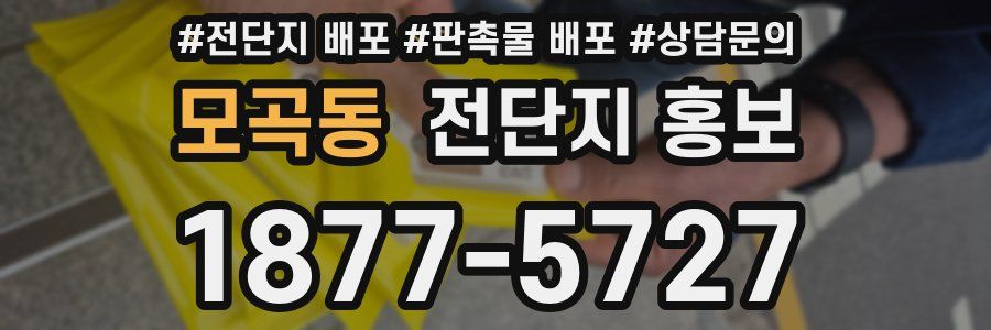 모곡동 전단지 홍보