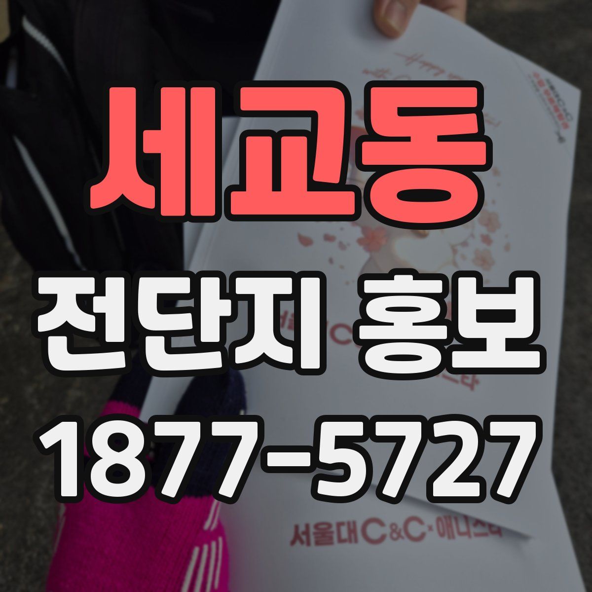 세교동 전단지 홍보