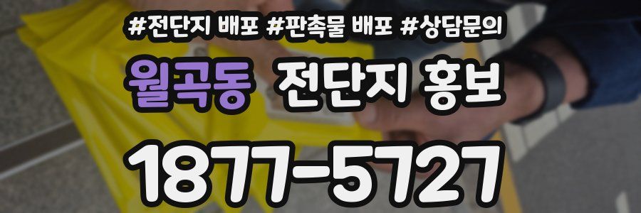 월곡동 전단지 홍보