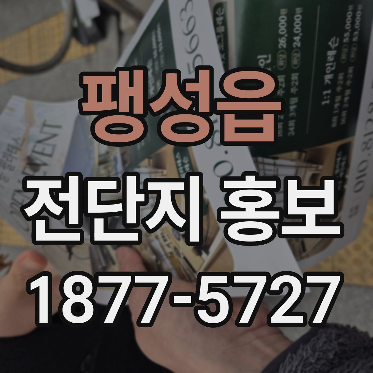 팽성읍 전단지 홍보