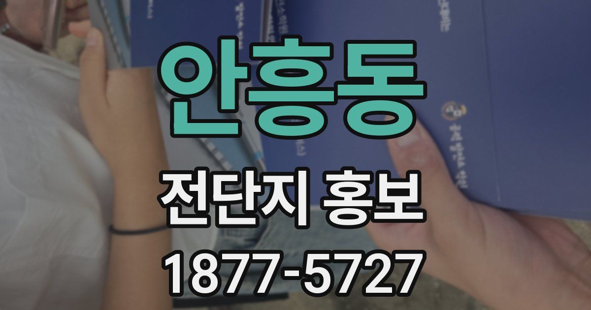 안흥동 전단지 홍보
