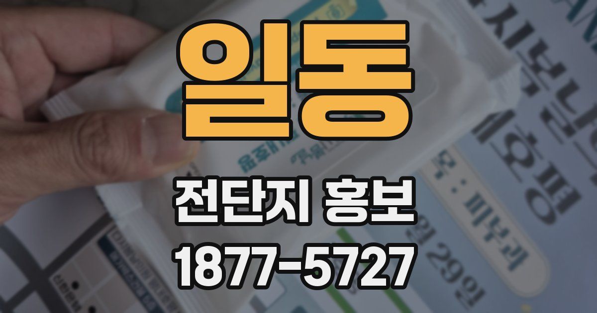 일동 전단지 홍보
