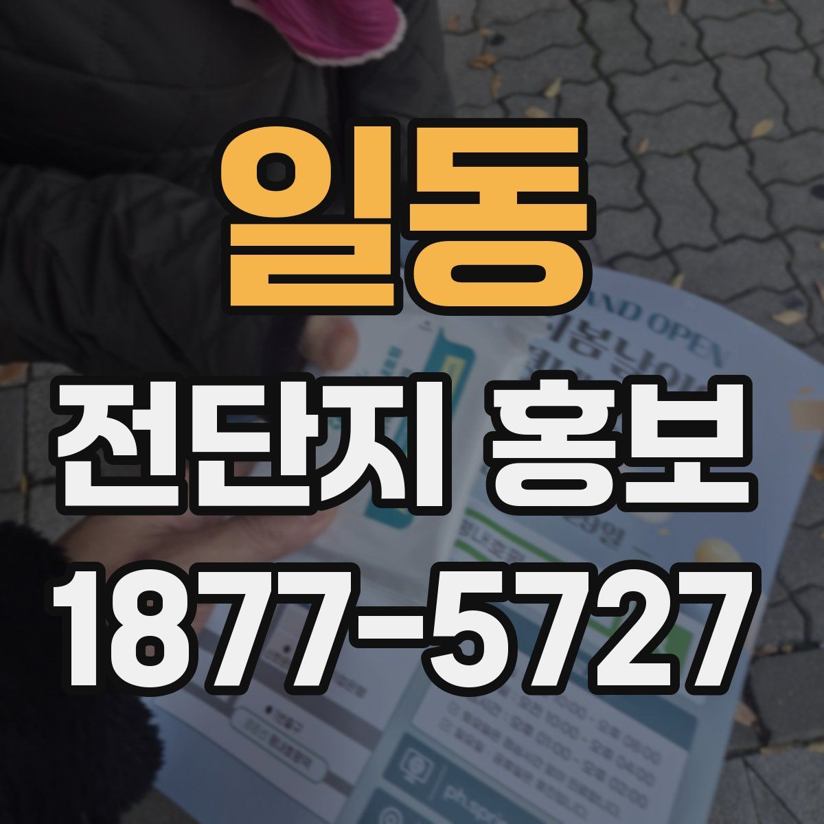 일동 전단지 홍보