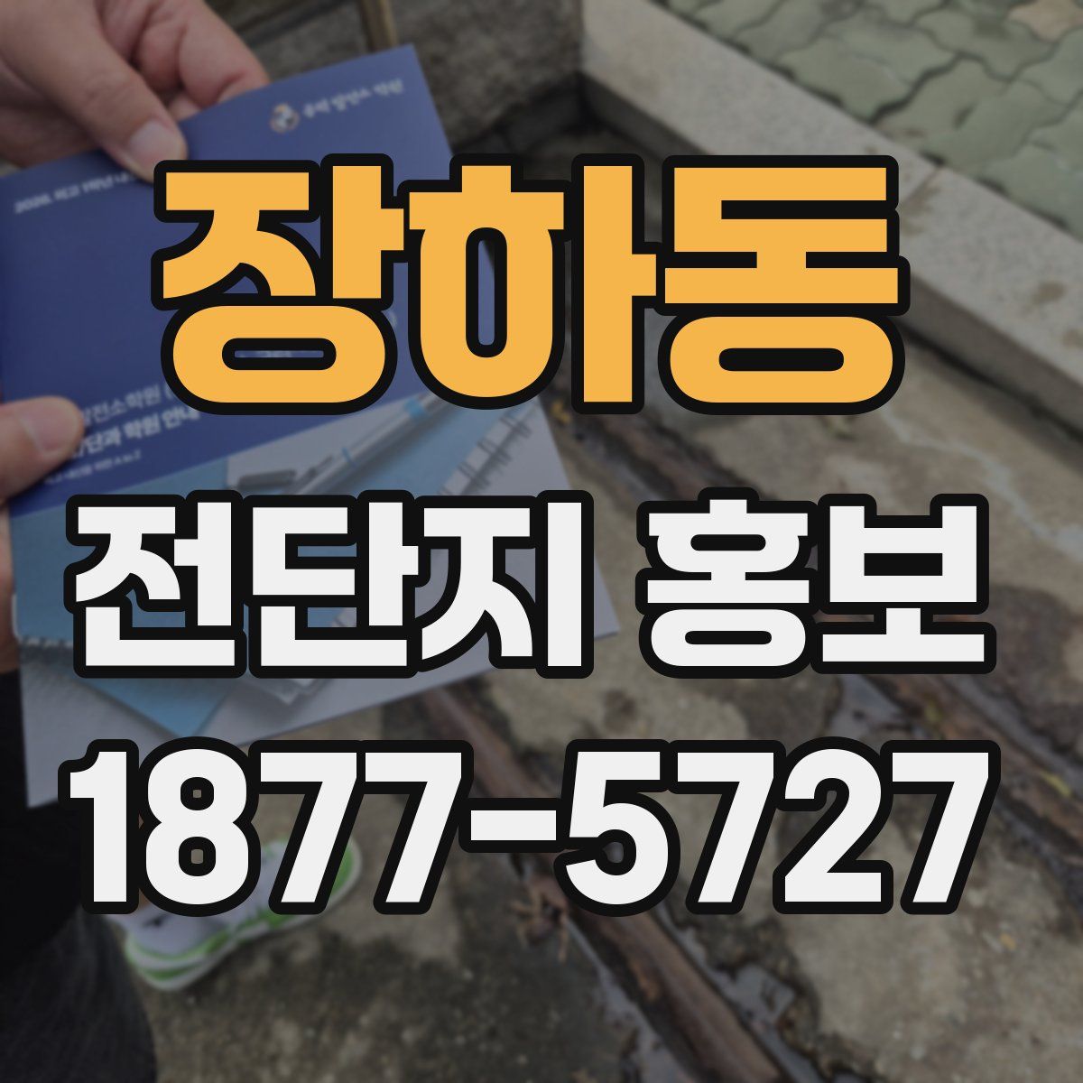 장하동 전단지 홍보