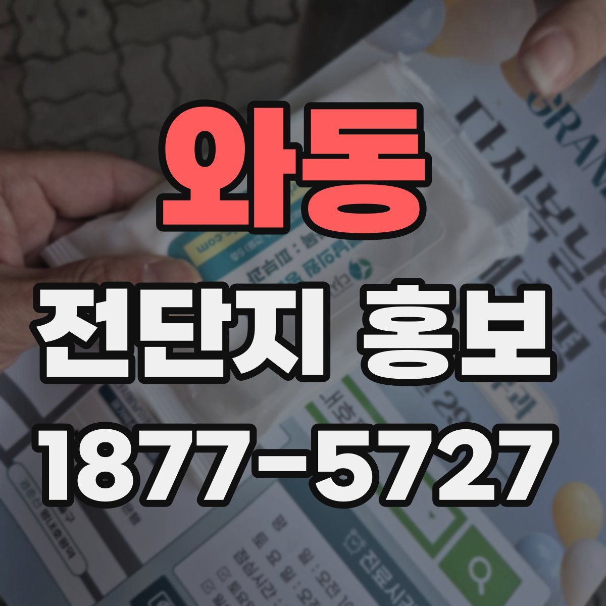와동 전단지 홍보