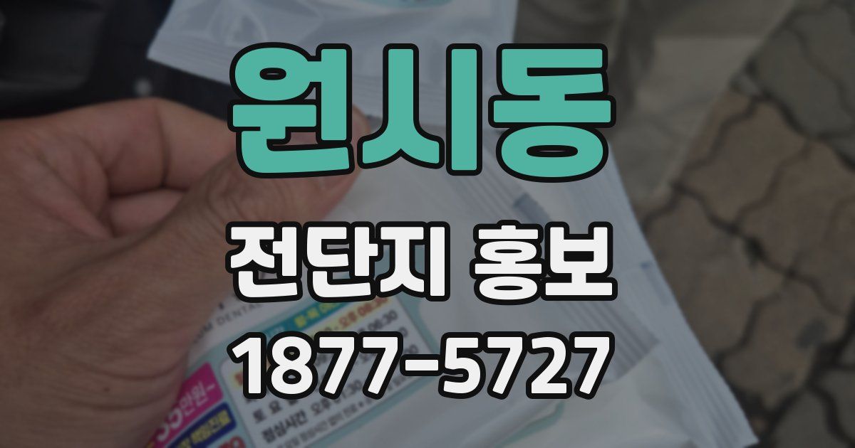 원시동 전단지 홍보