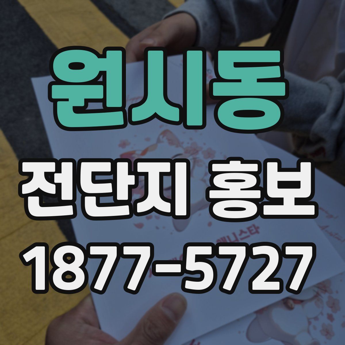 원시동 전단지 홍보